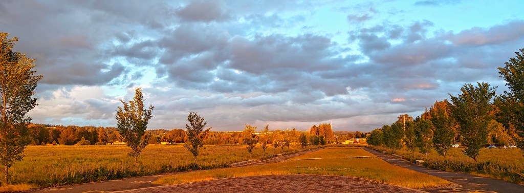 Letting Go of the&nbsp;Reins