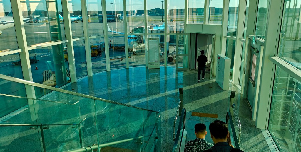 Back in the States (and Back&nbsp;Again)